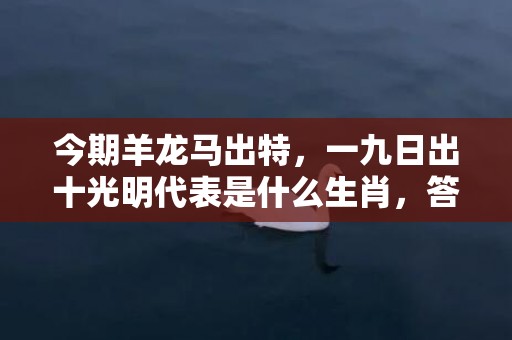 今期羊龙马出特，一九日出十光明代表是什么生肖，答案曝光落实