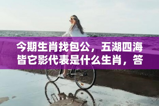 今期生肖找包公，五湖四海皆它影代表是什么生肖，答案曝光落实