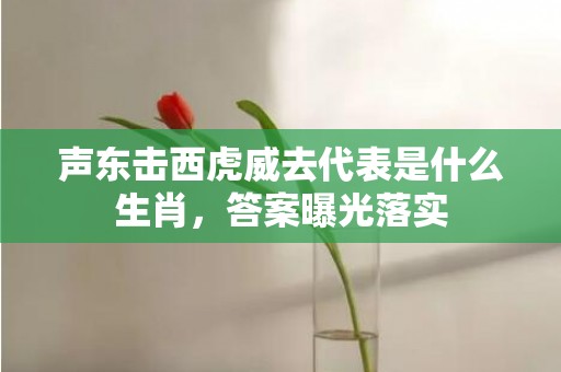 声东击西虎威去代表是什么生肖，答案曝光落实