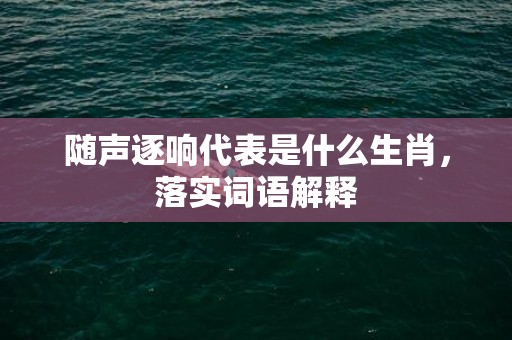 随声逐响代表是什么生肖，落实词语解释