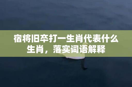 宿将旧卒打一生肖代表什么生肖，落实词语解释