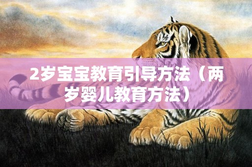 2岁宝宝教育引导方法（两岁婴儿教育方法）