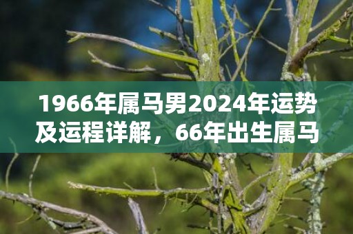1966年属马男2024年运势及运程详解，66年出生属马人2024全年每月运势男性，1966年属马男2024年运势及运程详解，66年出生属马人2024全年每月运势男性