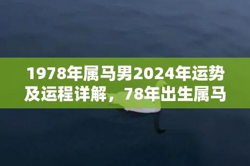 1978年属马男2024年运势及运程详解，78年出生属马人2024全年每月运势男性，1978年属马男2024年运势及运程详解，78年出生属马人2024全年每月运势男性