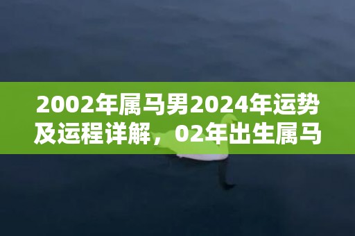 2002年属马男2024年运势及运程详解，02年出生属马人2024全年每月运势男性，2002年属马男2024年运势及运程详解，02年出生属马人2024全年每月运势男性