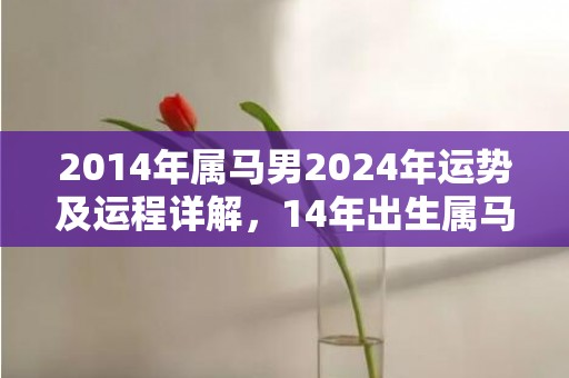 2014年属马男2024年运势及运程详解，14年出生属马人2024全年每月运势男性，2014年属马男2024年运势及运程详解，14年出生属马人2024全年每月运势男性
