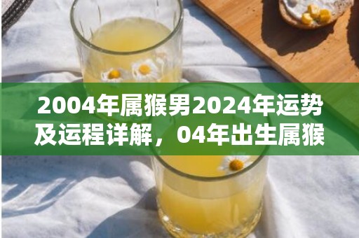 2004年属猴男2024年运势及运程详解，04年出生属猴人2024全年每月运势男性，2004年属猴男2024年运势及运程详解，04年出生属猴人2024全年每月运势男性