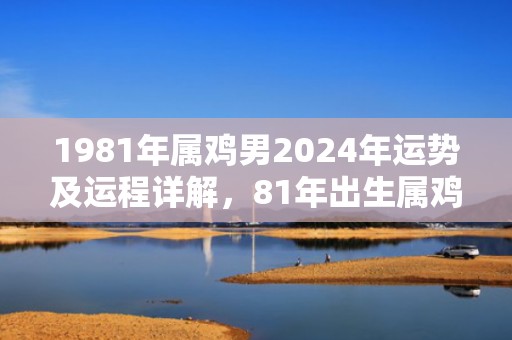 1981年属鸡男2024年运势及运程详解，81年出生属鸡人2024全年每月运势男性，1981年属鸡男2024年运势及运程详解，81年出生属鸡人2024全年每月运势男性