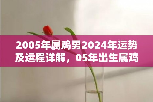 2005年属鸡男2024年运势及运程详解，05年出生属鸡人2024全年每月运势男性，2005年属鸡男2024年运势及运程详解，05年出生属鸡人2024全年每月运势男性