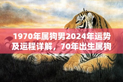 1970年属狗男2024年运势及运程详解，70年出生属狗人2024全年每月运势男性，1970年属狗男2024年运势及运程详解，70年出生属狗人2024全年每月运势男性