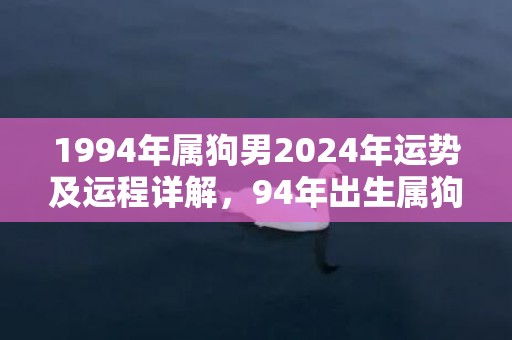 1994年属狗男2024年运势及运程详解，94年出生属狗人2024全年每月运势男性，1994年属狗男2024年运势及运程详解，94年出生属狗人2024全年每月运势男性