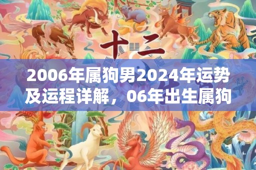 2006年属狗男2024年运势及运程详解，06年出生属狗人2024全年每月运势男性，2006年属狗男2024年运势及运程详解，06年出生属狗人2024全年每月运势男性