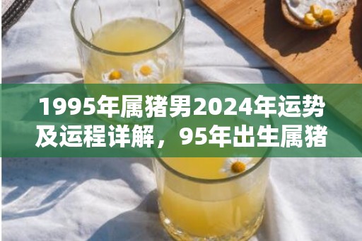 1995年属猪男2024年运势及运程详解，95年出生属猪人2024全年每月运势男性，1995年属猪男2024年运势及运程详解，95年出生属猪人2024全年每月运势男性