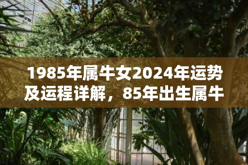 1985年属牛女2024年运势及运程详解，85年出生属牛人2024全年每月运势女性，1985年属牛女2024年运势及运程详解，85年出生属牛人2024全年每月运势女性