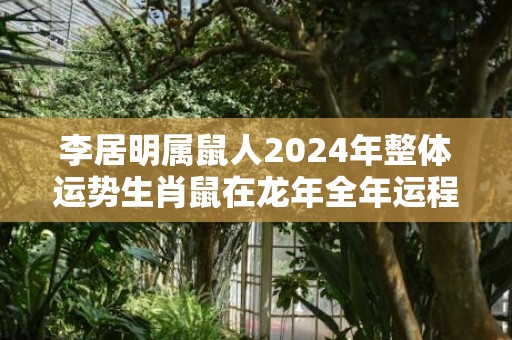 李居明属鼠人2024年整体运势生肖鼠在龙年全年运程，李居明属鼠人2024年整体运势生肖鼠在龙年全年运程