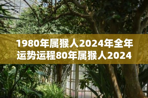 1980年属猴人2024年全年运势运程80年属猴人2024年每月运势详解，1980年属猴人2024年全年运势运程80年属猴人2024年每月运势详解