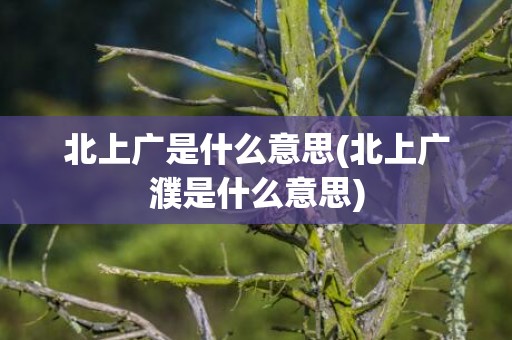 北上广是什么意思(北上广濮是什么意思)
