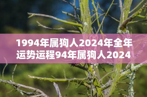 1994年属狗人2024年全年运势运程94年属狗人2024年每月运势详解，1994年属狗人2024年全年运势运程94年属狗人2024年每月运势详解