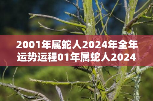 2001年属蛇人2024年全年运势运程01年属蛇人2024年每月运势详解，2001年属蛇人2024年全年运势运程01年属蛇人2024年每月运势详解