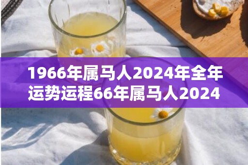 1966年属马人2024年全年运势运程66年属马人2024年每月运势详解，1966年属马人2024年全年运势运程66年属马人2024年每月运势详解