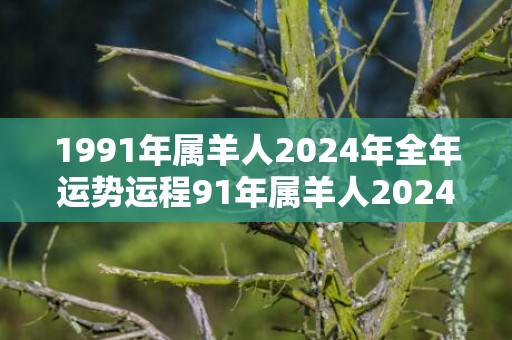 1991年属羊人2024年全年运势运程91年属羊人2024年每月运势详解，1991年属羊人2024年全年运势运程91年属羊人2024年每月运势详解