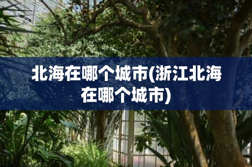 北海在哪个城市(浙江北海在哪个城市)
