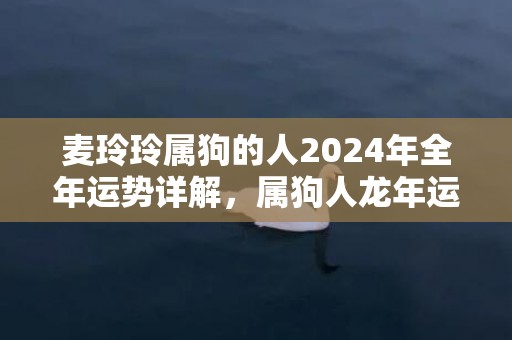 麦玲玲属狗的人2024年全年运势详解，属狗人龙年运程及每月运势，麦玲玲属狗的人2024年全年运势详解，属狗人龙年运程及每月运势