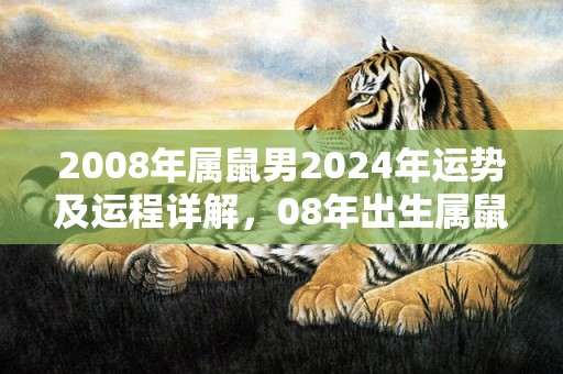 2008年属鼠男2024年运势及运程详解，08年出生属鼠人2024全年每月运势男性，2008年属鼠男2024年运势及运程详解，08年出生属鼠人2024全年每月运势男性