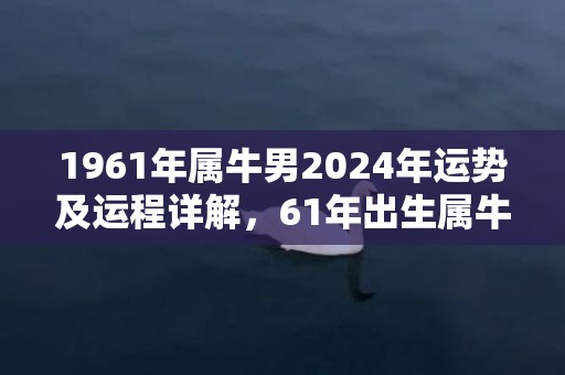 1961年属牛男2024年运势及运程详解，61年出生属牛人2024全年每月运势男性，1961年属牛男2024年运势及运程详解，61年出生属牛人2024全年每月运势男性