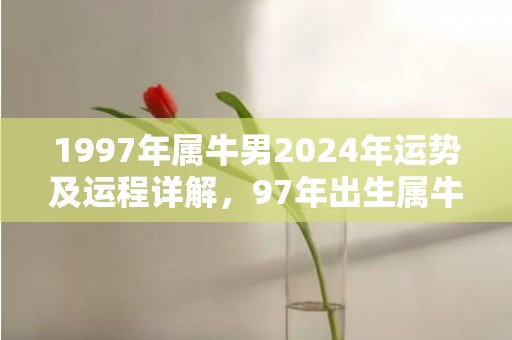 1997年属牛男2024年运势及运程详解，97年出生属牛人2024全年每月运势男性，1997年属牛男2024年运势及运程详解，97年出生属牛人2024全年每月运势男性