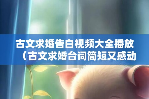 古文求婚告白视频大全播放（古文求婚台词简短又感动）