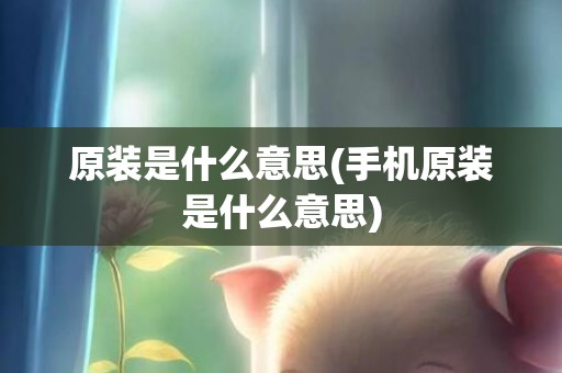 原装是什么意思(手机原装是什么意思)