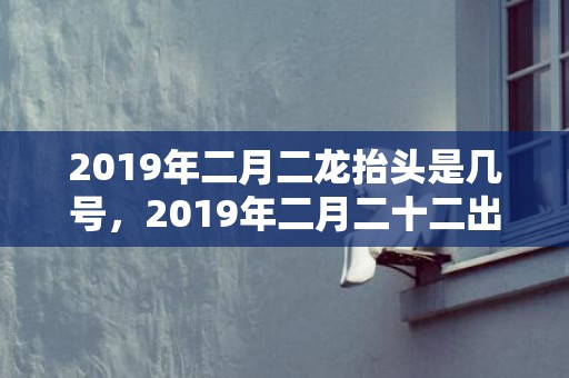 2019年二月二龙抬头是几号，2019年二月二十二出生的双胞胎女孩起名推荐，五行属什么