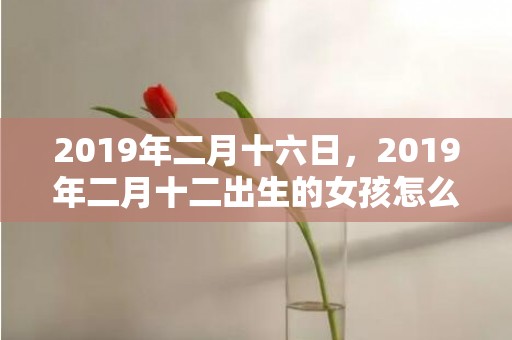 2019年二月十六日，2019年二月十二出生的女孩怎么样起名字