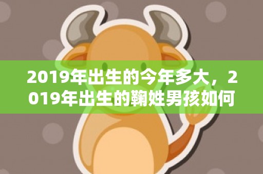 2019年出生的今年多大，2019年出生的鞠姓男孩如何起名字，姓鞠男孩好听的名字