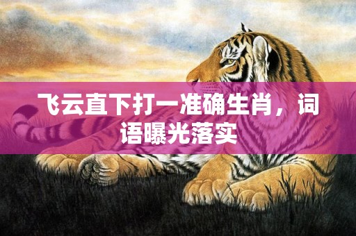 飞云直下打一准确生肖，词语曝光落实