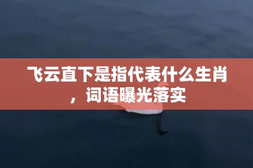 飞云直下是指代表什么生肖，词语曝光落实
