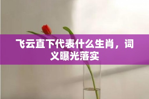 飞云直下代表什么生肖，词义曝光落实