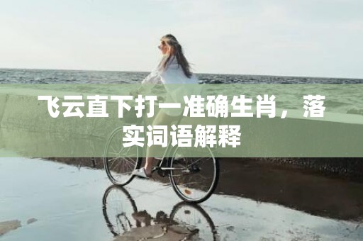 飞云直下打一准确生肖，落实词语解释