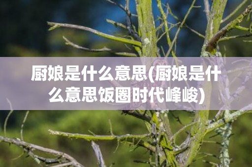厨娘是什么意思(厨娘是什么意思饭圈时代峰峻)