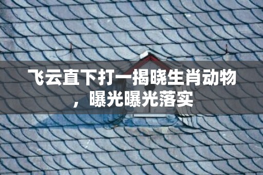 飞云直下打一揭晓生肖动物，曝光曝光落实
