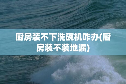 厨房装不下洗碗机咋办(厨房装不装地漏)