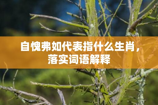 自愧弗如代表指什么生肖，落实词语解释