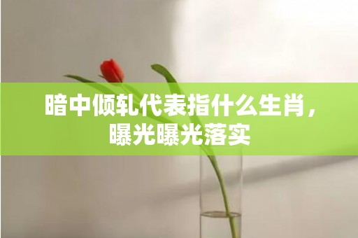 暗中倾轧代表指什么生肖，曝光曝光落实