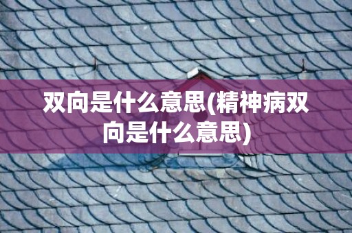 双向是什么意思(精神病双向是什么意思)