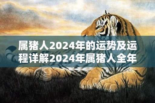 属猪人2024年的运势及运程详解2024年属猪人全年每月运势，属猪人2024年的运势及运程详解2024年属猪人全年每月运势