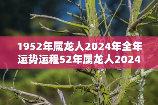 1952年属龙人2024年全年运势运程52年属龙人2024年每月运势详解，1952年属龙人2024年全年运势运程52年属龙人2024年每月运势详解