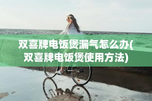 双喜牌电饭煲漏气怎么办(双喜牌电饭煲使用方法)