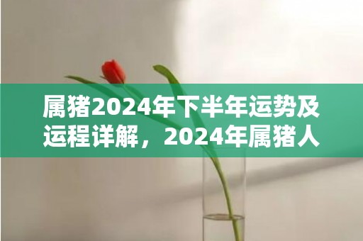 属猪2024年下半年运势及运程详解，2024年属猪人的全年每月运势，属猪2024年下半年运势及运程详解，2024年属猪人的全年每月运势