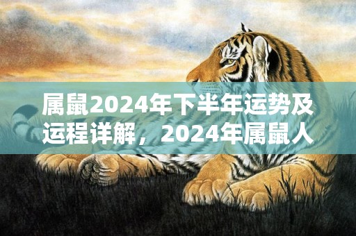 属鼠2024年下半年运势及运程详解，2024年属鼠人的全年每月运势，属鼠2024年下半年运势及运程详解，2024年属鼠人的全年每月运势